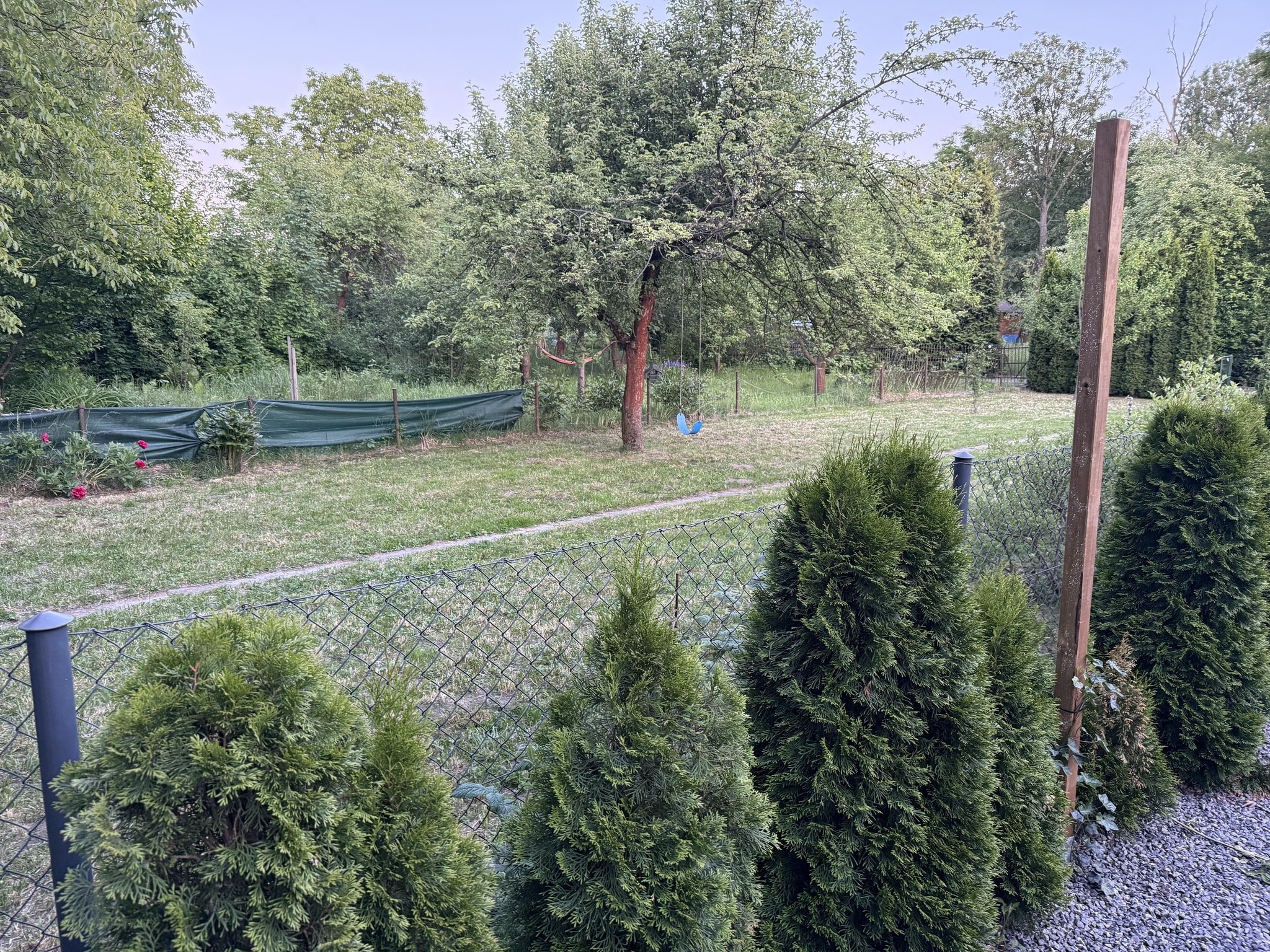 Interpelacje na tropie miejskich bolączek